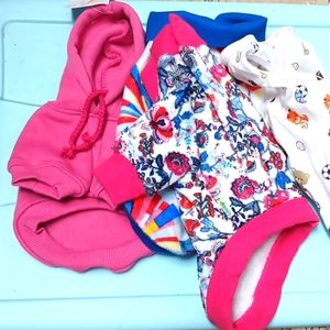 Small dog clothes for dogs